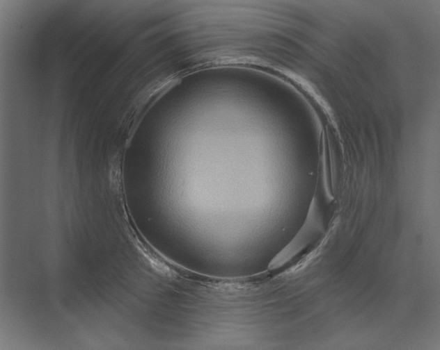 X0000073910897200608251520