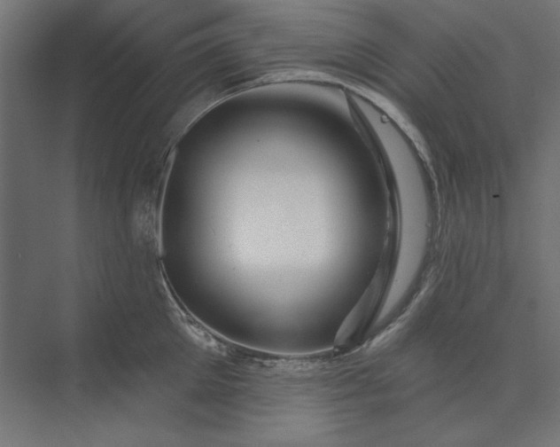 X0000073910905200608251520