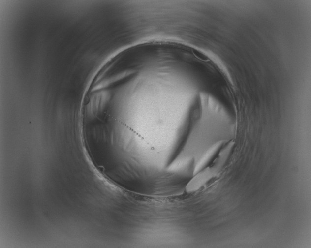X0000073910911200608251520