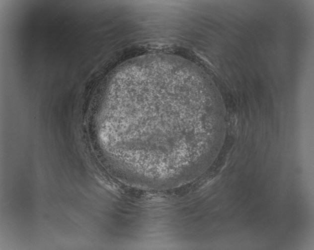 X0000073910913200608251519