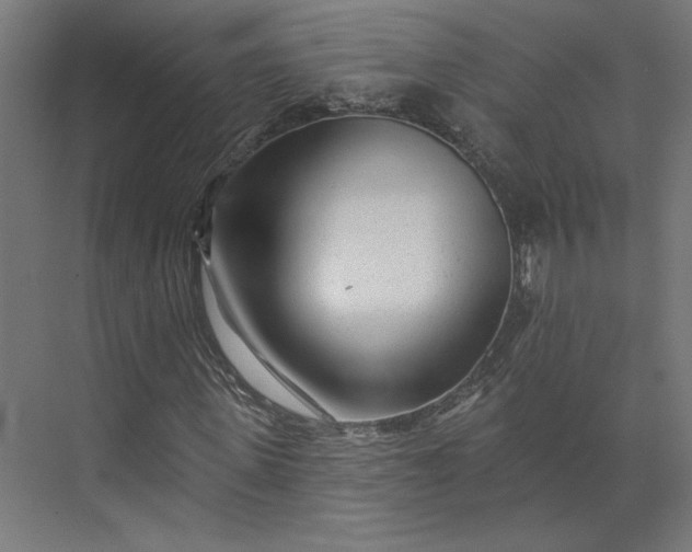 X0000073910915200608251519