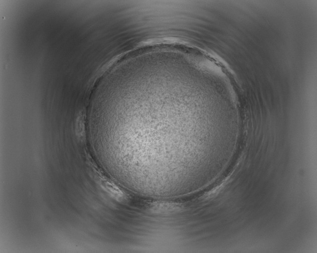 X0000073910921200608251519