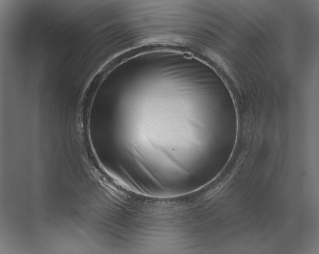 X0000073910923200608251519