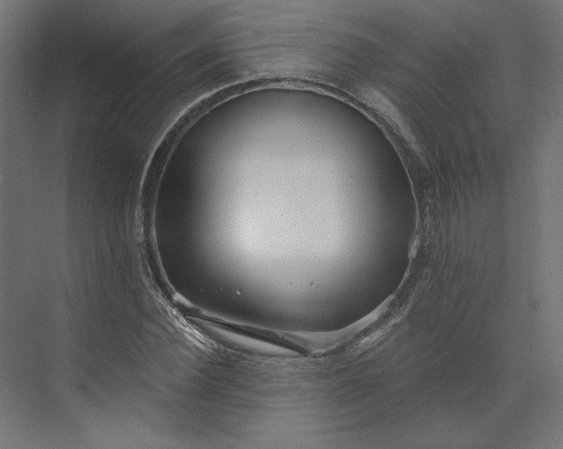 X0000073910924200608251519