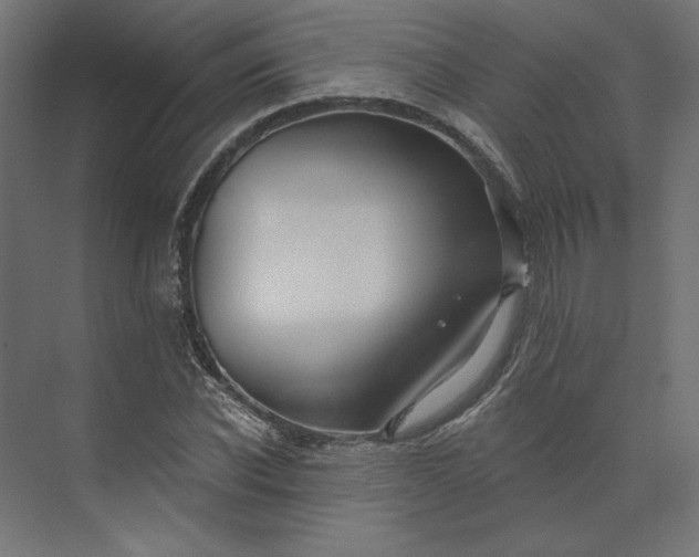 X0000073910926200608251519