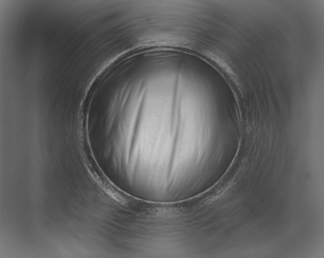 X0000073910933200608251519