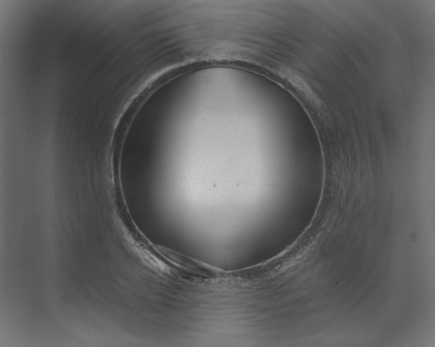 X0000073910934200608251519