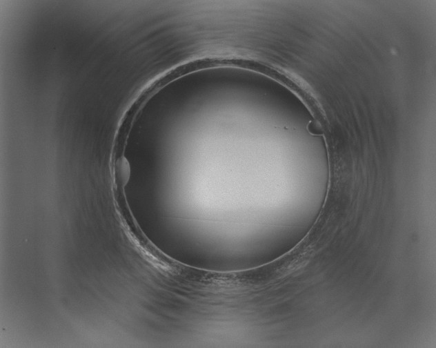X0000073910935200608251519
