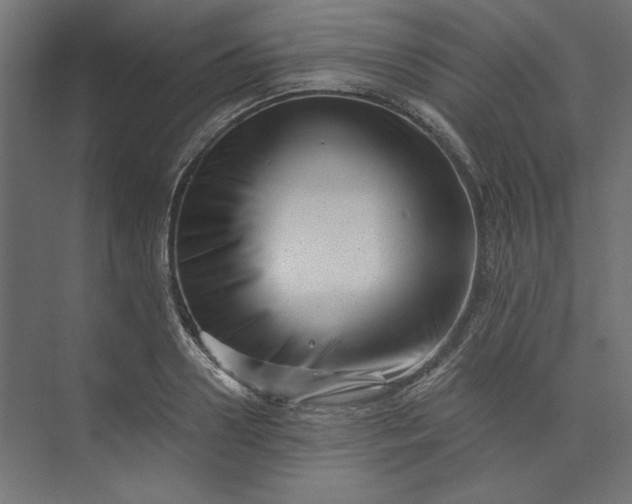 X0000073910938200608251520