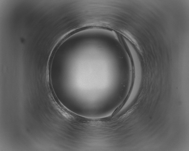 X0000073910940200608251520