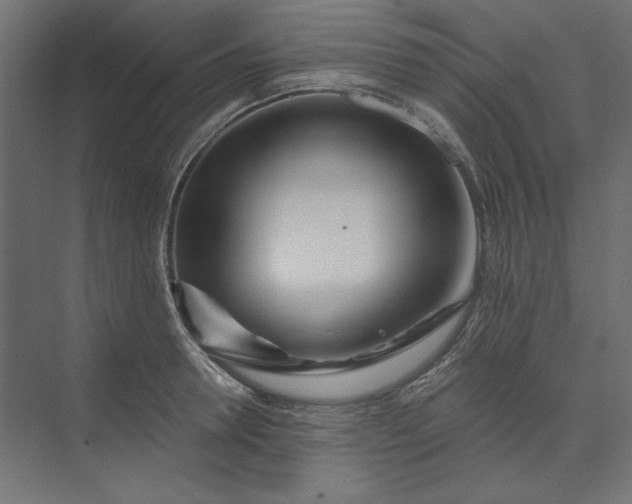 X0000073910946200608251520