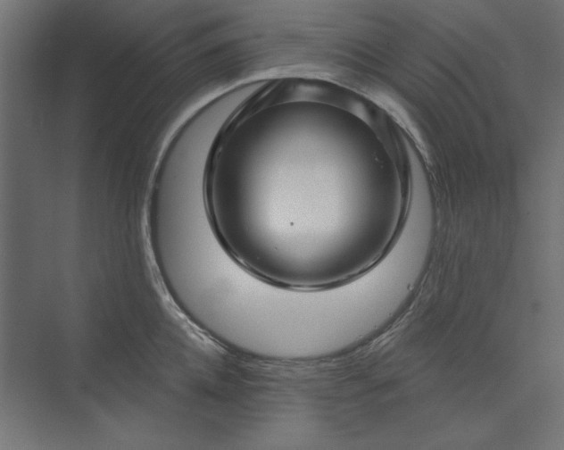 X0000073910952200608251520