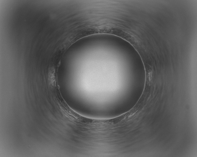 X0000073910963200608251519
