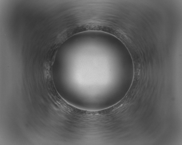 X0000073910964200608251519