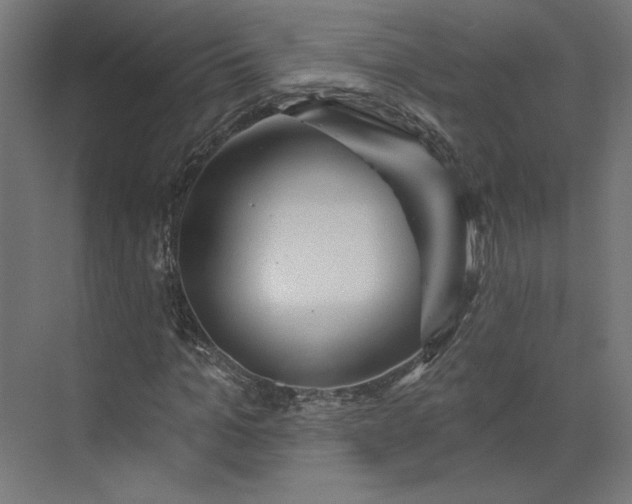 X0000073910965200608251519