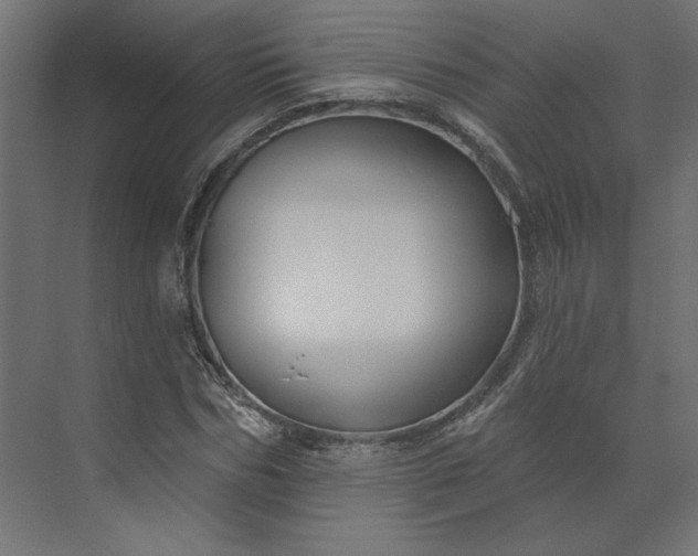 X0000073910970200608251519