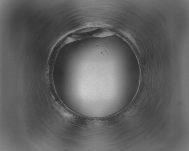 X0000073910971200608251519