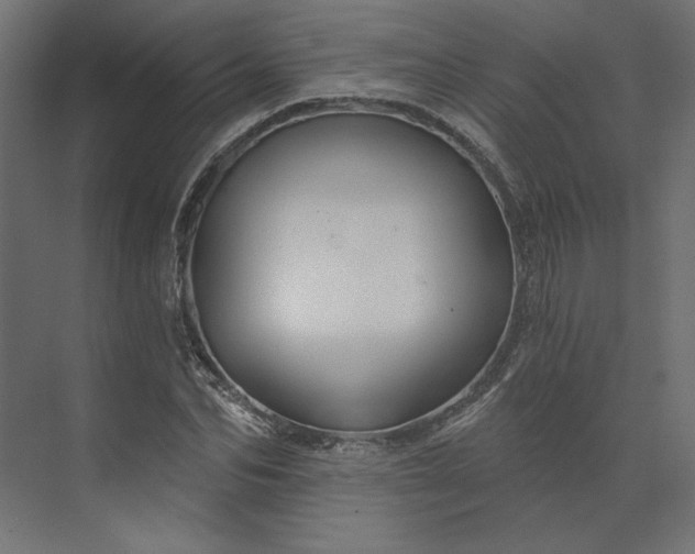 X0000073910974200608251519
