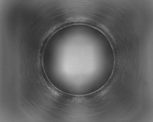 X0000073910978200608251519