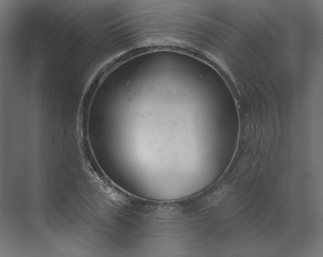 X0000073910979200608251519