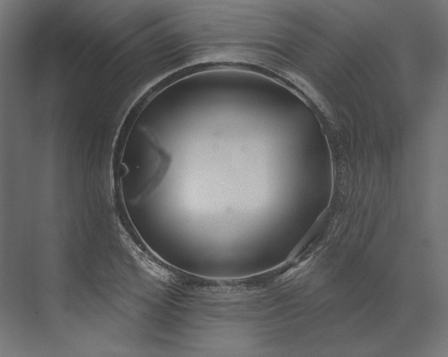 X0000073910980200608251519