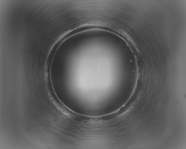X0000073910981200608251519