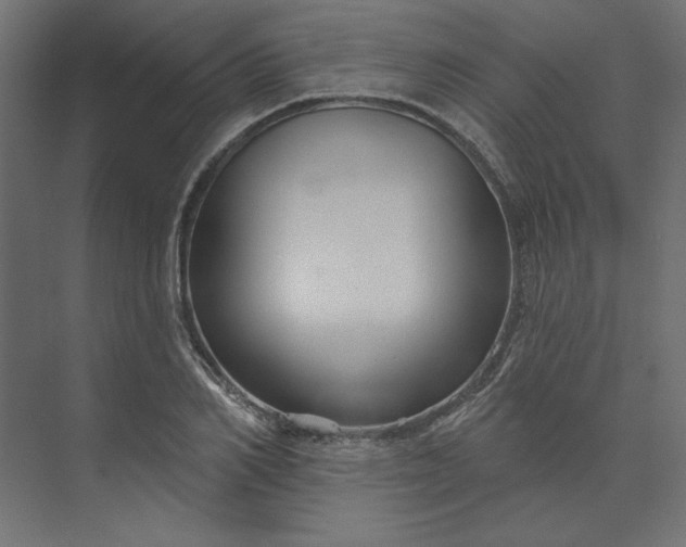 X0000073910982200608251519