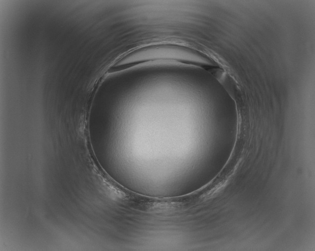X0000073910985200608251519