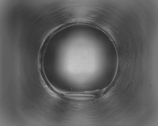 X0000073910987200608251519