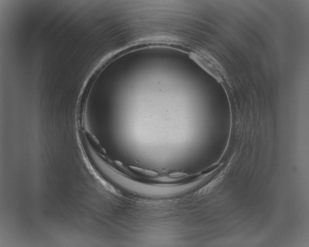 X0000073910989200608251519
