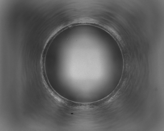 X0000073910990200608251519