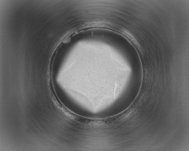 X0000073910994200608251519