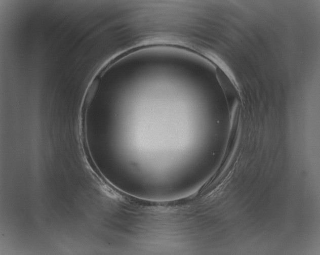 X0000073910996200608251518