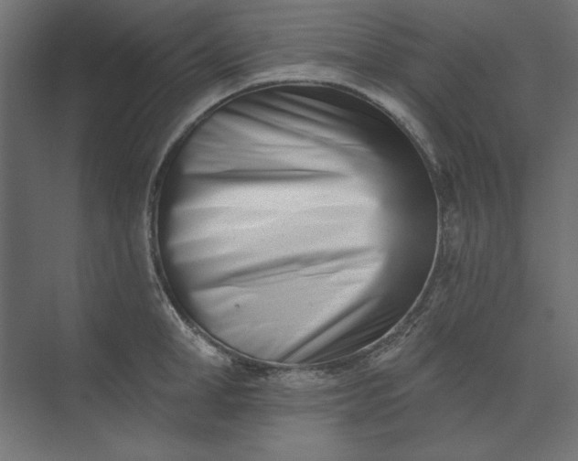 X0000073910998200608251518