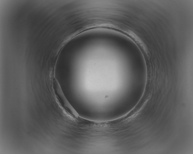 X0000073911001200608251518