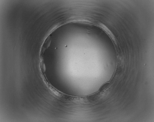 X0000073911002200608251518