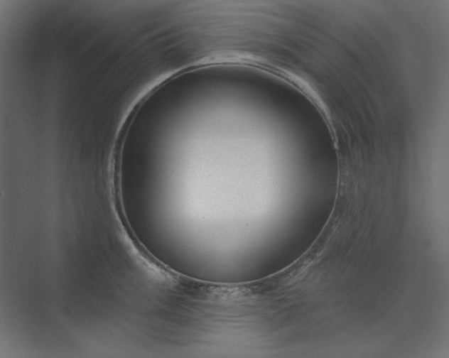 X0000073911003200608251518