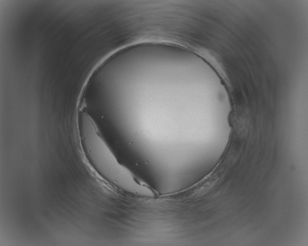 X0000073911004200608251518