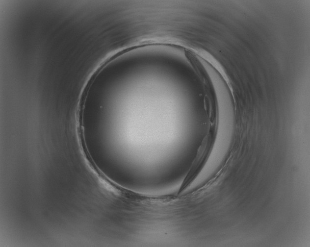 X0000073911005200608251518