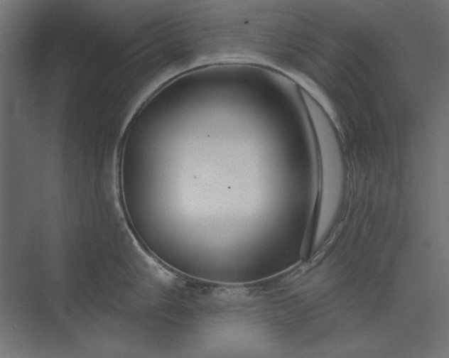 X0000073911006200608251518