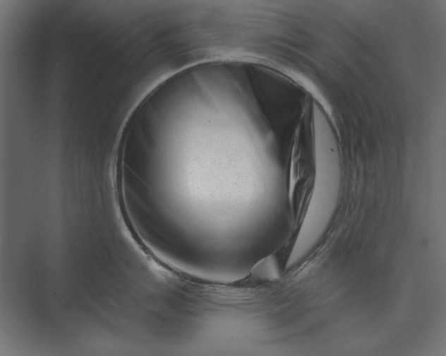 X0000073911007200608251518