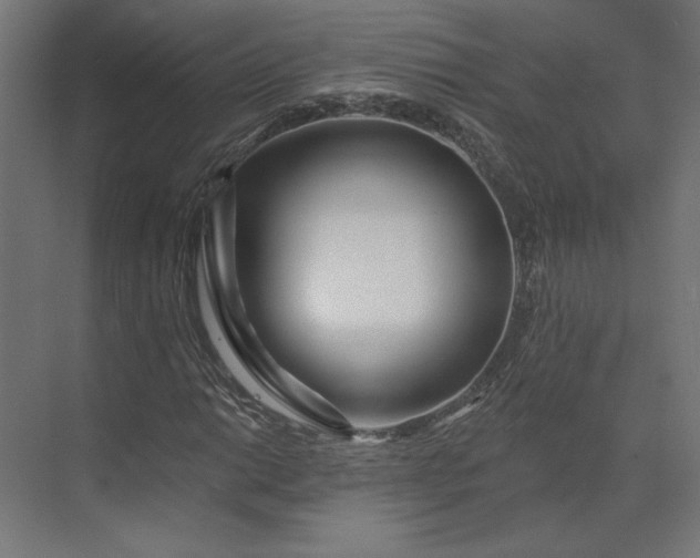 X0000073911014200608251518