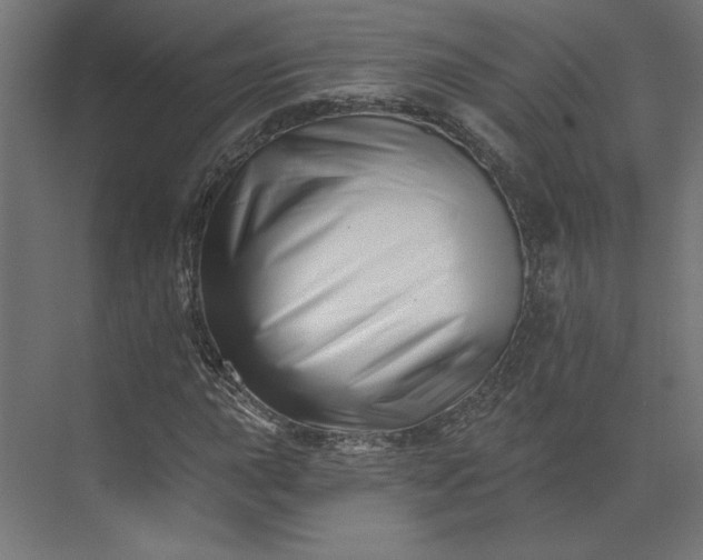 X0000073911015200608251518