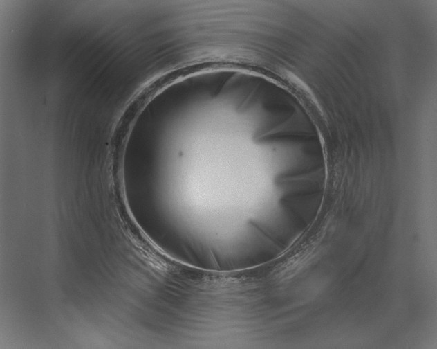 X0000073911019200608251518