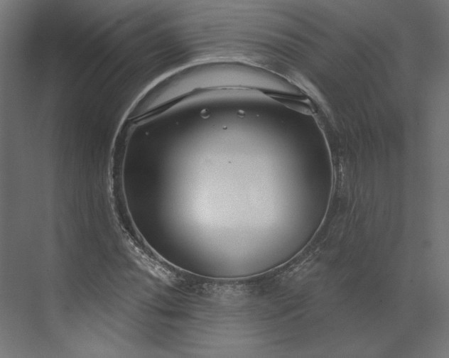 X0000073911020200608251518