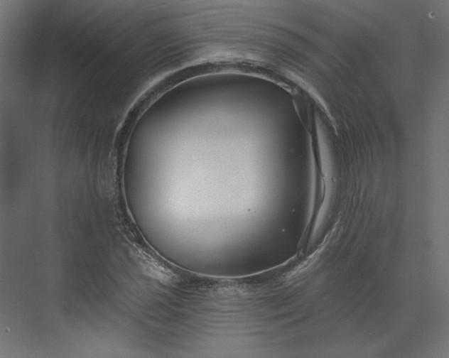 X0000073911021200608251518