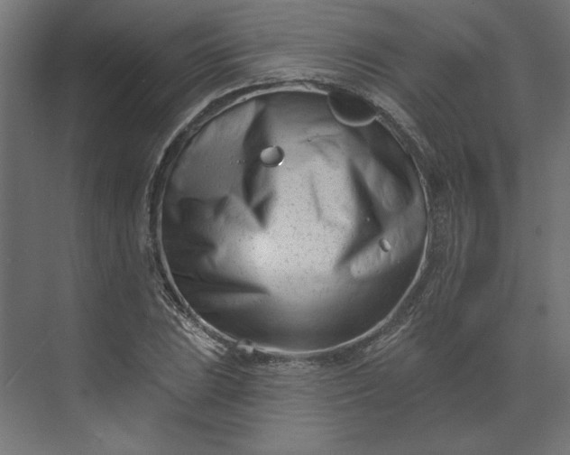X0000073911023200608251518