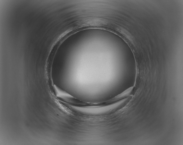 X0000073911026200608251518