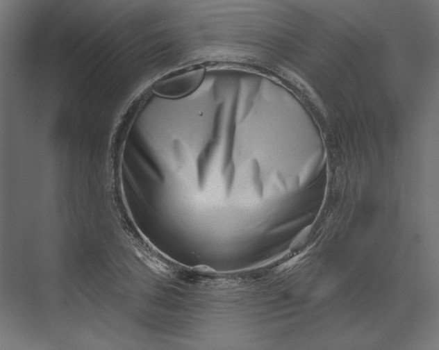 X0000073911027200608251518