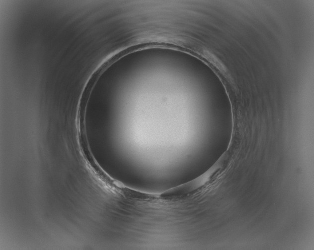 X0000073911028200608251518